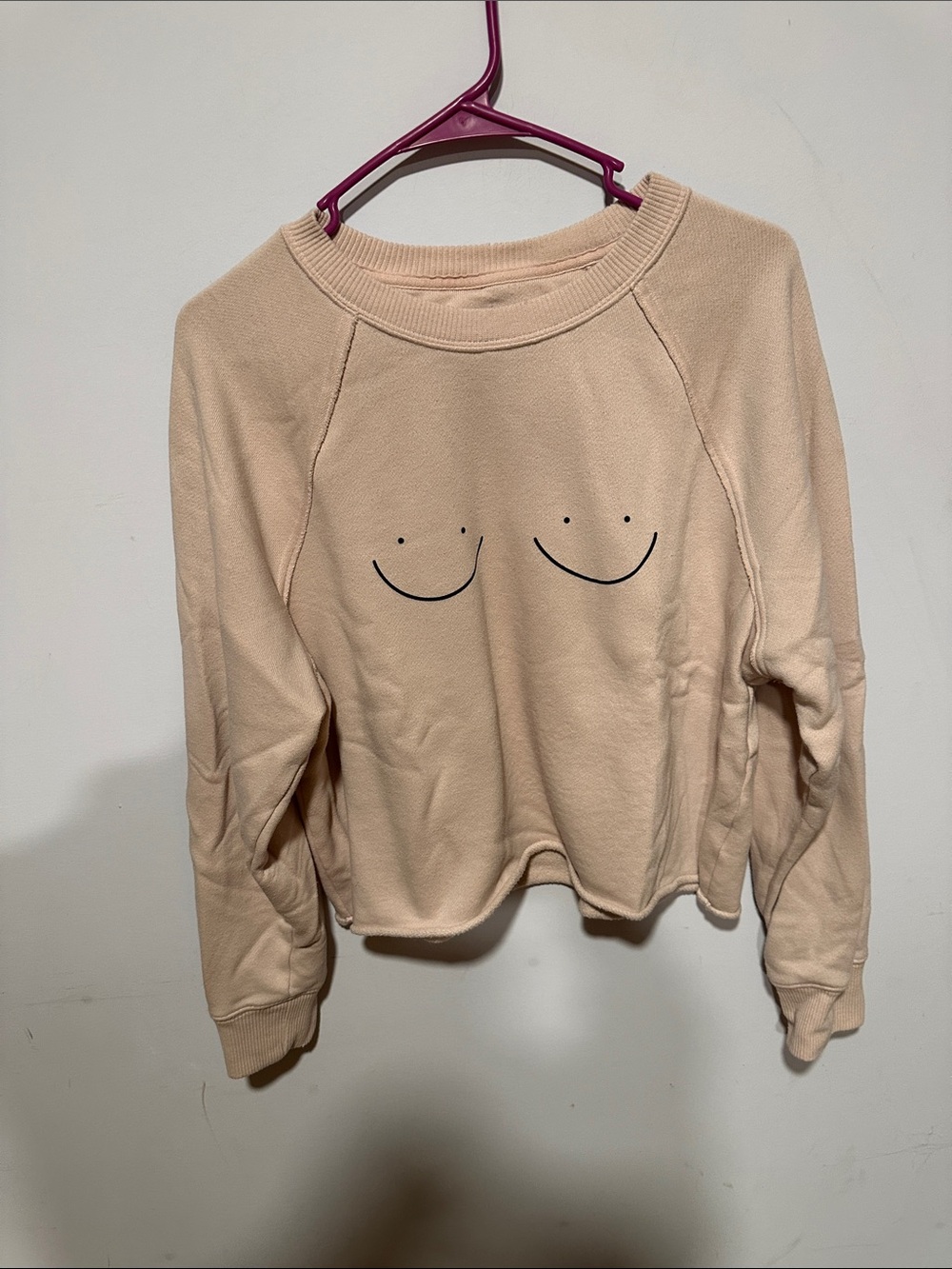 Aerie cropped pull over